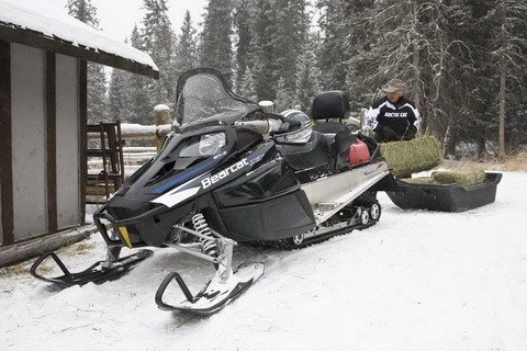 Bearcat_Action_5258