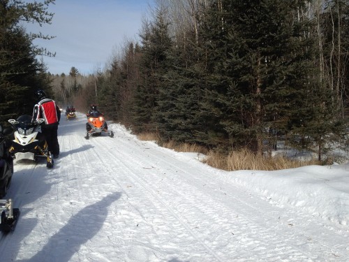 Trail